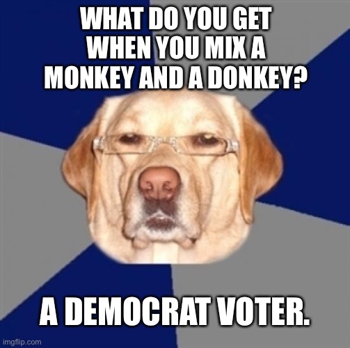 A monkey and a donkey | WHAT DO YOU GET WHEN YOU MIX A MONKEY AND A DONKEY? A DEMOCRAT VOTER. | image tagged in racist dog,memes,bad joke,monkey,donkey,democrat | made w/ Imgflip meme maker