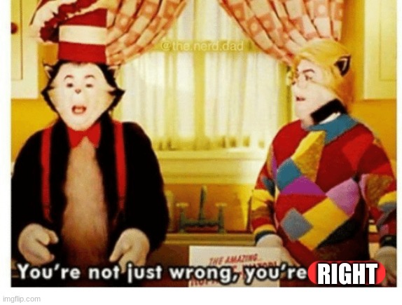 You're not just wrong your stupid | RIGHT | image tagged in you're not just wrong your stupid | made w/ Imgflip meme maker