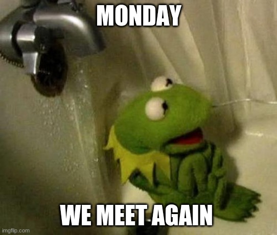 Kermit on Shower | MONDAY; WE MEET AGAIN | image tagged in kermit on shower | made w/ Imgflip meme maker