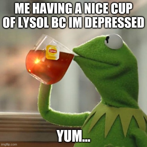 But That's None Of My Business | ME HAVING A NICE CUP OF LYSOL BC IM DEPRESSED; YUM... | image tagged in memes,but that's none of my business,kermit the frog | made w/ Imgflip meme maker