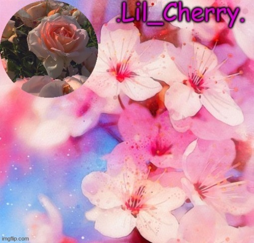 Lil Cherrys announcement table Blank Meme Template