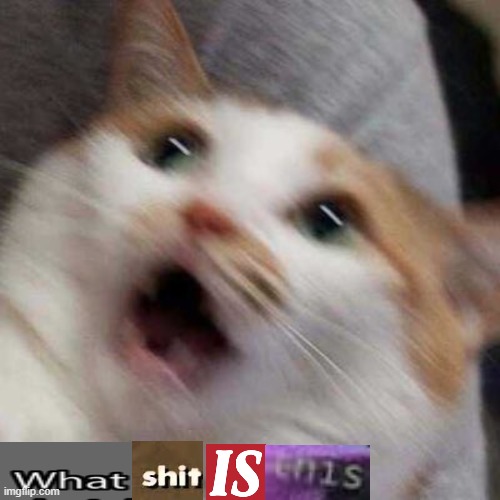 what shit is this | image tagged in oh no cat | made w/ Imgflip meme maker
