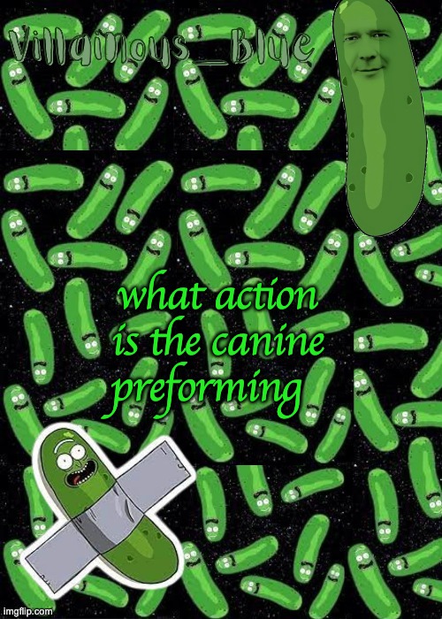 what action is the canine preforming | image tagged in pickle rick temp | made w/ Imgflip meme maker
