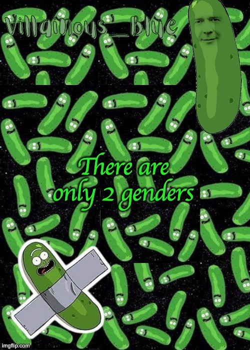 we do a bit of practical joking | There are only 2 genders | image tagged in pickle rick temp | made w/ Imgflip meme maker