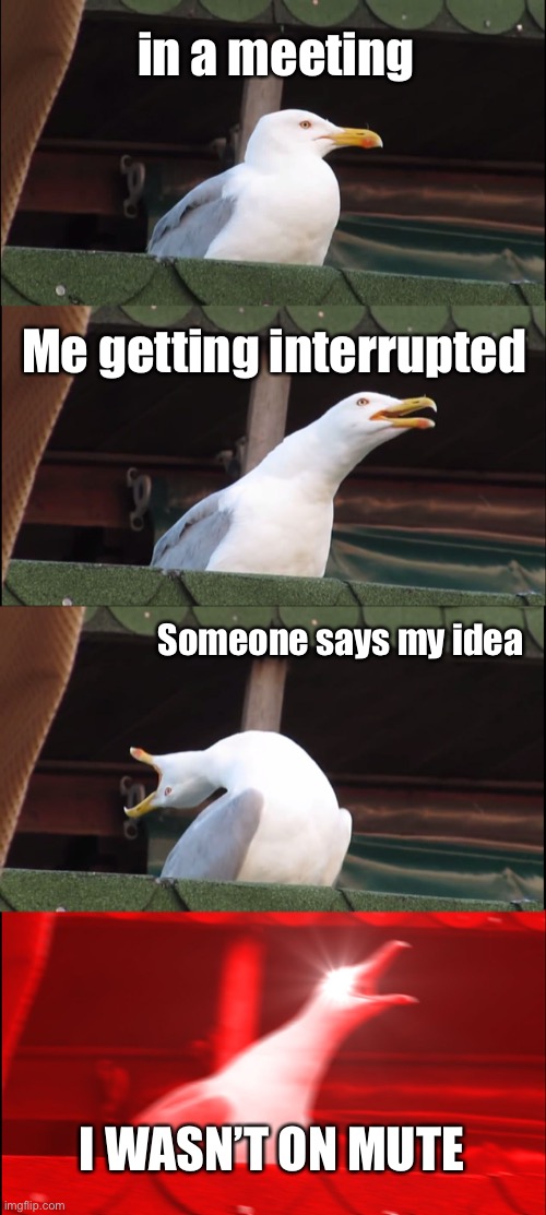 Inhaling Seagull Meme | in a meeting; Me getting interrupted; Someone says my idea; I WASN’T ON MUTE | image tagged in memes,inhaling seagull | made w/ Imgflip meme maker