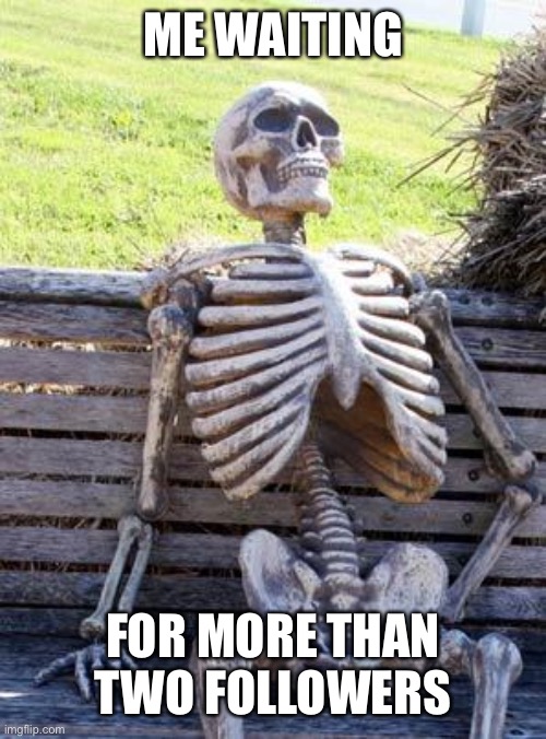 Waiting Skeleton | ME WAITING; FOR MORE THAN TWO FOLLOWERS | image tagged in memes,waiting skeleton,followers | made w/ Imgflip meme maker