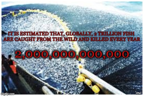 Fishing | 2,000,000,000,000 | image tagged in vegan,cod,tuna,seafood,ocean,environment | made w/ Imgflip meme maker