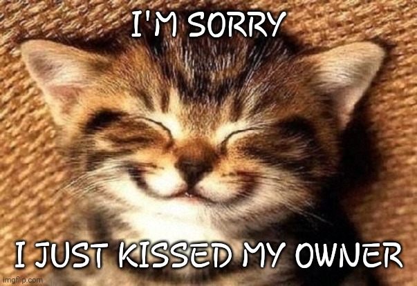 UwU | I'M SORRY; I JUST KISSED MY OWNER | image tagged in smiling kitty | made w/ Imgflip meme maker