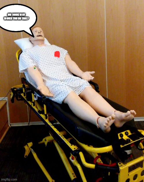 CPR Dummy | OW SONIC WHY WOULD YOU DO THAT? | image tagged in cpr dummy | made w/ Imgflip meme maker