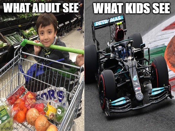 hahaha, shopping cart go bRRRRRR | WHAT ADULT SEE; WHAT KIDS SEE | image tagged in lol,so true memes | made w/ Imgflip meme maker