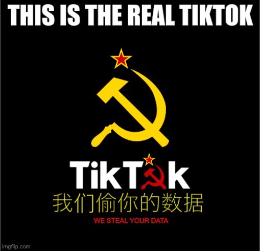 REAL TIKTOK CCP LOGO (Chinese communist party) | image tagged in communism,tiktok sucks,tiktok,tiktok logo,memes,funny memes | made w/ Imgflip meme maker
