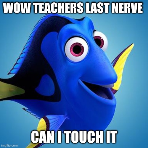 dory | WOW TEACHERS LAST NERVE; CAN I TOUCH IT | image tagged in dory from finding nemo | made w/ Imgflip meme maker