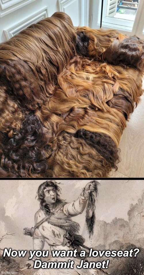 A Hairy Relationship | Now you want a loveseat?
Dammit Janet! | image tagged in dark humor,funny memes | made w/ Imgflip meme maker