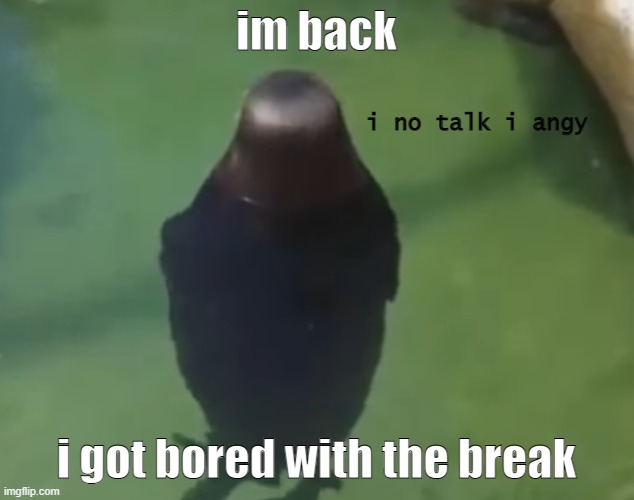 no talkie | im back; i got bored with the break | image tagged in no talkie | made w/ Imgflip meme maker