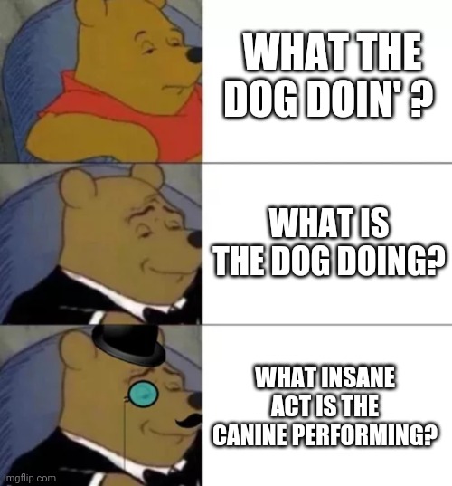 Fancy pooh | WHAT THE DOG DOIN' ? WHAT IS THE DOG DOING? WHAT INSANE ACT IS THE CANINE PERFORMING? | image tagged in fancy pooh,funny,meme,what the dog doin | made w/ Imgflip meme maker