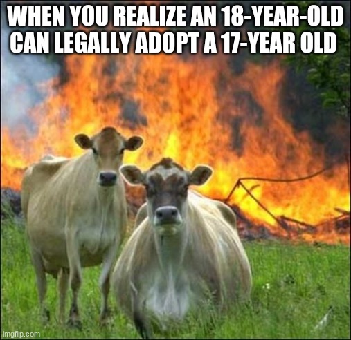 Evil Cows | WHEN YOU REALIZE AN 18-YEAR-OLD CAN LEGALLY ADOPT A 17-YEAR OLD | image tagged in memes,evil cows | made w/ Imgflip meme maker