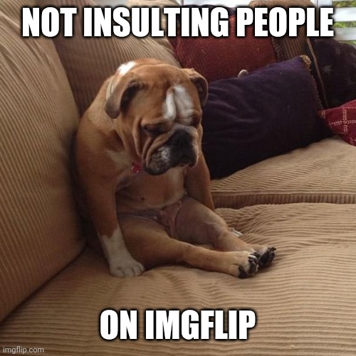 bulldogsad | NOT INSULTING PEOPLE ON IMGFLIP | image tagged in bulldogsad | made w/ Imgflip meme maker