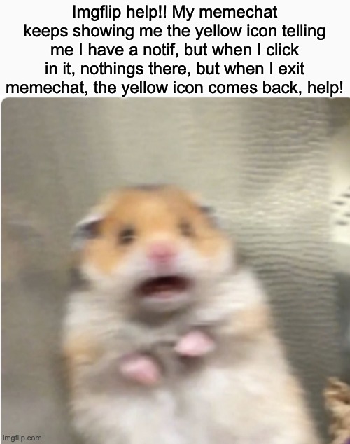 Memechat: The Horror Movie | Imgflip help!! My memechat keeps showing me the yellow icon telling me I have a notif, but when I click in it, nothings there, but when I exit memechat, the yellow icon comes back, help! | image tagged in paniked hamster | made w/ Imgflip meme maker