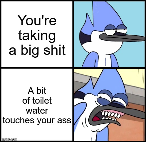 Mordecai disgusted | You're taking a big shit; A bit of toilet water touches your ass | image tagged in mordecai disgusted | made w/ Imgflip meme maker