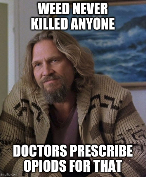 opinion | WEED NEVER KILLED ANYONE DOCTORS PRESCRIBE OPIODS FOR THAT | image tagged in opinion | made w/ Imgflip meme maker