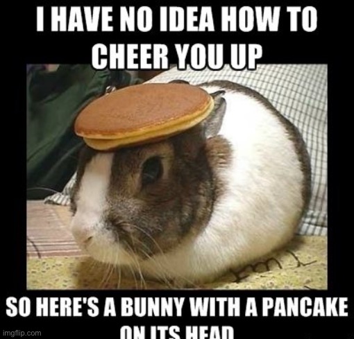 image tagged in fun | made w/ Imgflip meme maker