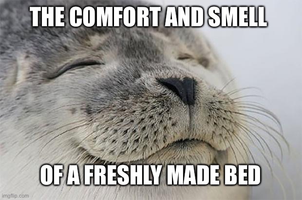 Satisfied Seal Meme | THE COMFORT AND SMELL; OF A FRESHLY MADE BED | image tagged in memes,satisfied seal | made w/ Imgflip meme maker