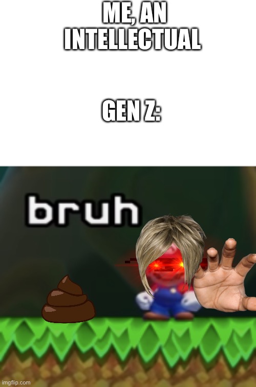  ME, AN INTELLECTUAL; GEN Z: | image tagged in mario bruh | made w/ Imgflip meme maker