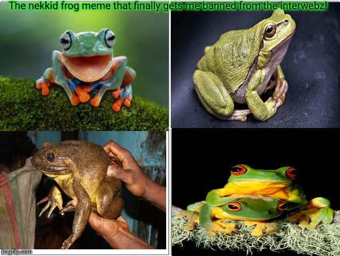 Let's see if this gets approved! Lol. | The nekkid frog meme that finally gets me banned from the interwebz! | image tagged in memes,blank comic panel 2x2,nekkid,frogs,but why why would you do that | made w/ Imgflip meme maker