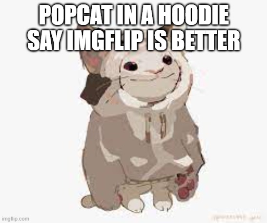 POPCAT IN A HOODIE SAY IMGFLIP IS BETTER | made w/ Imgflip meme maker