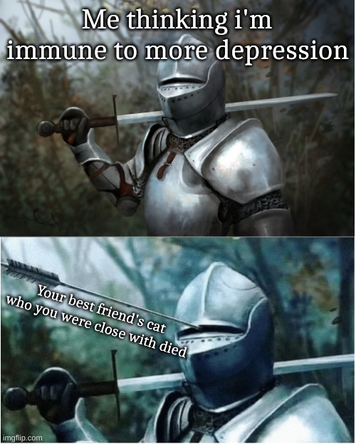Knight with arrow in helmet | Me thinking i'm immune to more depression; Your best friend's cat who you were close with died | image tagged in knight with arrow in helmet | made w/ Imgflip meme maker
