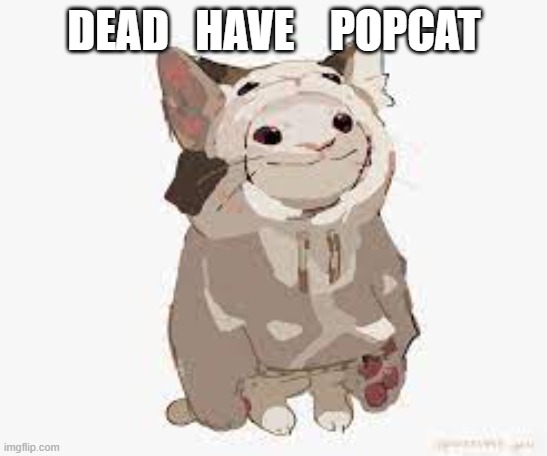 DEAD   HAVE    POPCAT | made w/ Imgflip meme maker