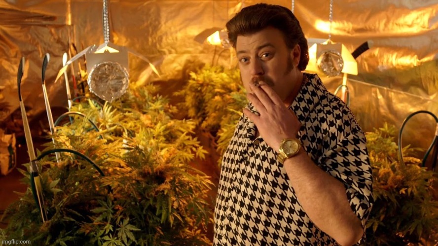 trailer park boys weed | image tagged in trailer park boys weed | made w/ Imgflip meme maker