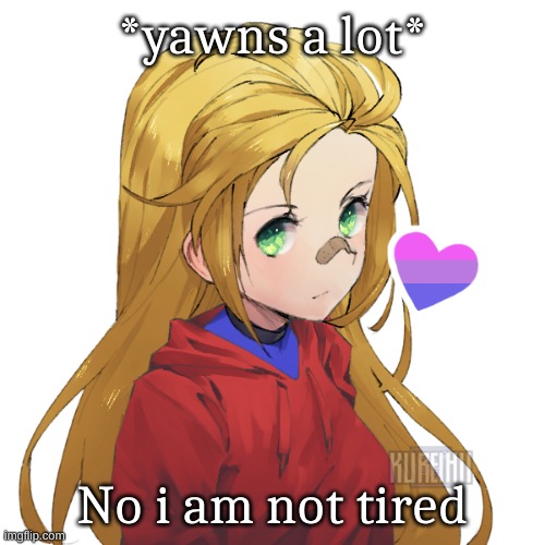 Made for friend | *yawns a lot*; No i am not tired | image tagged in holly | made w/ Imgflip meme maker
