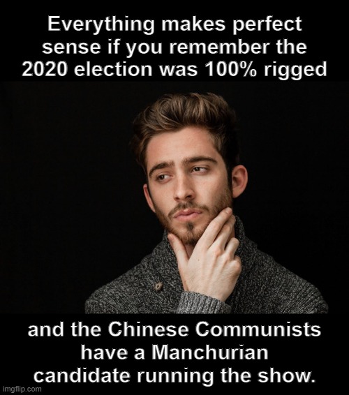 All of it is the globalist cabal plan to take down America. | Everything makes perfect sense if you remember the 2020 election was 100% rigged; and the Chinese Communists
have a Manchurian candidate running the show. | image tagged in election 2020 | made w/ Imgflip meme maker