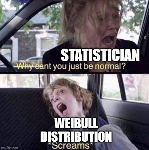 Why Can't You Just Be Normal | STATISTICIAN; WEIBULL DISTRIBUTION | image tagged in why can't you just be normal | made w/ Imgflip meme maker