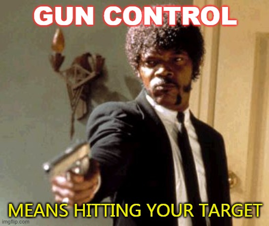 Gun Control Means Hitting Your Target | GUN CONTROL; MEANS HITTING YOUR TARGET | image tagged in memes,say that again i dare you | made w/ Imgflip meme maker