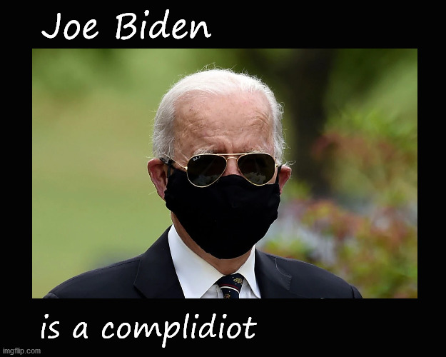 Joe Biden is a complidiot | Joe Biden; is a complidiot | image tagged in joe biden | made w/ Imgflip meme maker