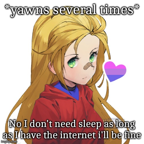 Made for friend | *yawns several times*; No I don't need sleep as long as I have the internet i'll be fine | image tagged in holly | made w/ Imgflip meme maker