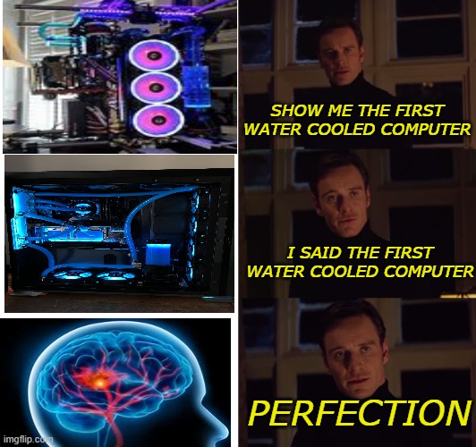 hard to argue | SHOW ME THE FIRST WATER COOLED COMPUTER; I SAID THE FIRST WATER COOLED COMPUTER; PERFECTION | image tagged in perfection,memes,brainnnn | made w/ Imgflip meme maker