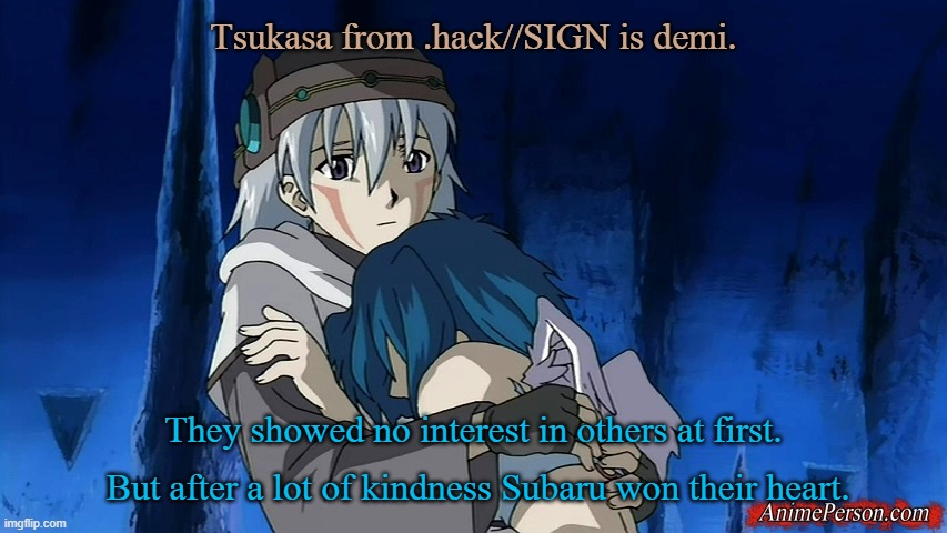 One of the best shows I have ever seen. |  Tsukasa from .hack//SIGN is demi. They showed no interest in others at first.  But after a lot of kindness Subaru won their heart. | image tagged in anime,online gaming,love story | made w/ Imgflip meme maker