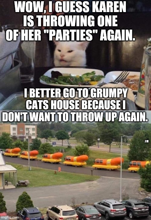 WOW, I GUESS KAREN IS THROWING ONE OF HER "PARTIES" AGAIN. I BETTER GO TO GRUMPY CATS HOUSE BECAUSE I DON'T WANT TO THROW UP AGAIN. J M | image tagged in salad cat | made w/ Imgflip meme maker
