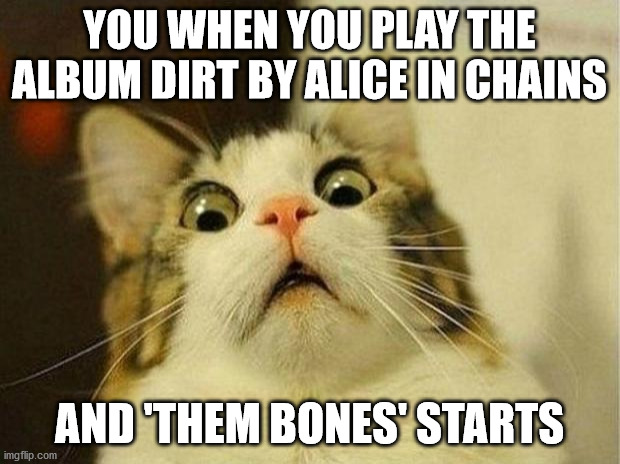 BOW!!!! \m/ | YOU WHEN YOU PLAY THE ALBUM DIRT BY ALICE IN CHAINS; AND 'THEM BONES' STARTS | image tagged in memes,scared cat,cat,cats,alice,music | made w/ Imgflip meme maker