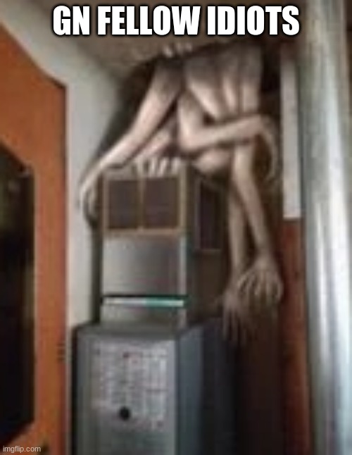 Clump | GN FELLOW IDIOTS | image tagged in clump | made w/ Imgflip meme maker