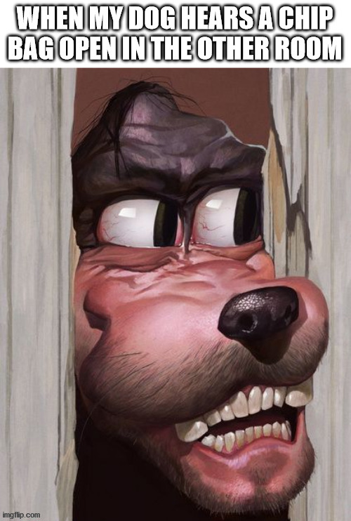 Here's doggo... | image tagged in doggo,jack nicholson,the shining,heres johnny,goofy,snacco | made w/ Imgflip meme maker