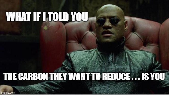 Reducing You | WHAT IF I TOLD YOU; THE CARBON THEY WANT TO REDUCE . . . IS YOU | image tagged in morpheus sitting down | made w/ Imgflip meme maker