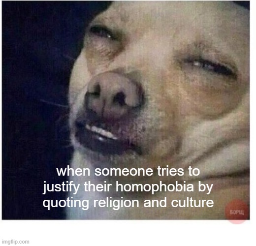 when someone tries to justify their homophobia by quoting religion and culture | image tagged in memes,dank memes,lgbtq | made w/ Imgflip meme maker