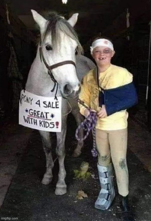 Pony for Sale | image tagged in kids | made w/ Imgflip meme maker