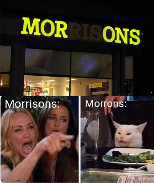 Morrisons light fail | Morrons:; Morrisons: | image tagged in lady screams at cat,memes,funny,cats,animals,you had one job | made w/ Imgflip meme maker