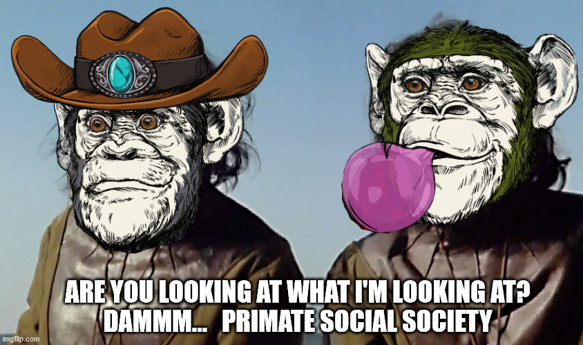 Primate Social Society - Meme | ARE YOU LOOKING AT WHAT I'M LOOKING AT?
DAMMM...   PRIMATE SOCIAL SOCIETY | image tagged in sexual harassment,meme parody,joke | made w/ Imgflip meme maker