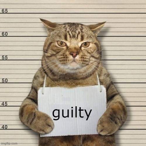 GUILTY CAT MUG SHOT BLANK | guilty | image tagged in guilty cat mug shot blank | made w/ Imgflip meme maker